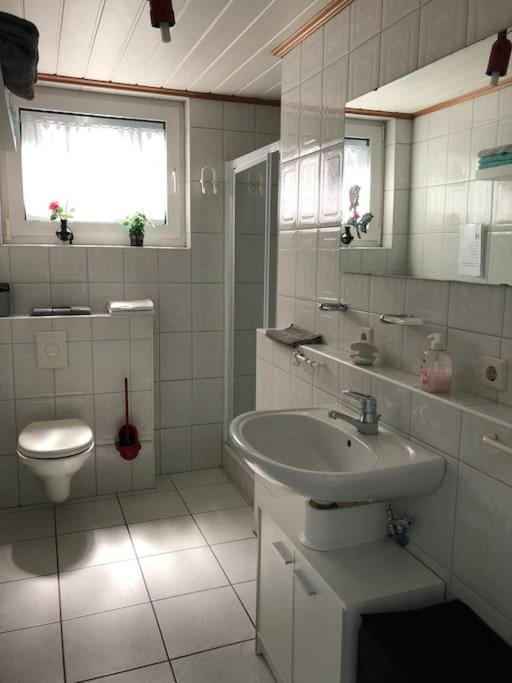 Braun Apartment Hinterweidenthal