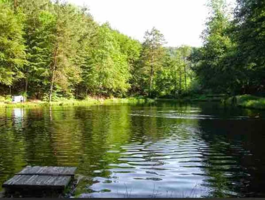 Braun Hinterweidenthal
